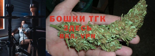 СК Каменногорск
