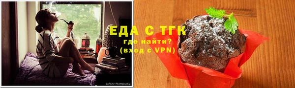 СК Каменногорск