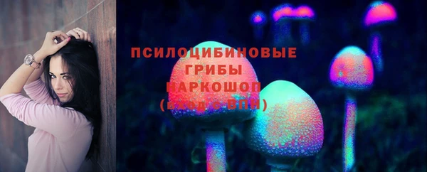 СК Каменногорск