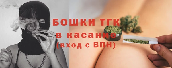 СК Каменногорск