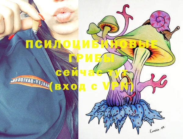 COCAINE Каменск-Шахтинский