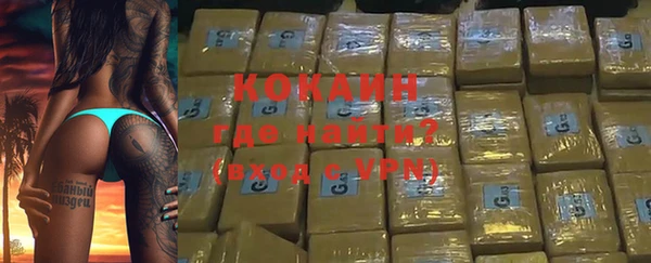 СК Каменногорск