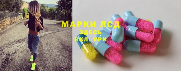 СК Каменногорск