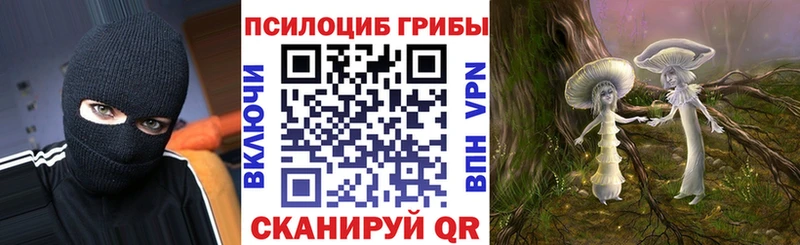 Купить  Вилюйск  Галлюциногенные грибы Magic Shrooms 